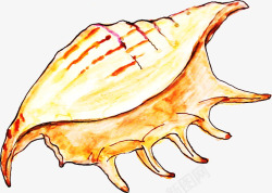 创意贝壳海螺素材