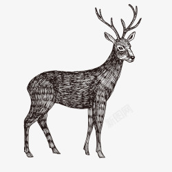 铅笔画线PNG图片手绘麋鹿矢量图图标高清图片