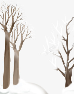 白色树干冬天的树高清图片
