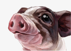猪鼻子烟熏肉彩绘猪头片高清图片