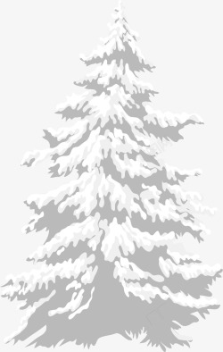 寒冬植物冬季白色圣诞树高清图片
