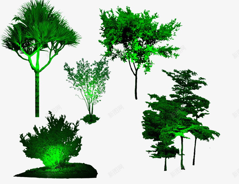 灯光照树1png免抠素材_新图网 https://ixintu.com 夜晚 照明树 绿树 观景树
