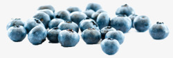 一大推一大的推蓝莓高清图片