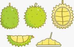 榴莲插图矢量图素材
