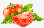 西红柿蔬菜海报素材