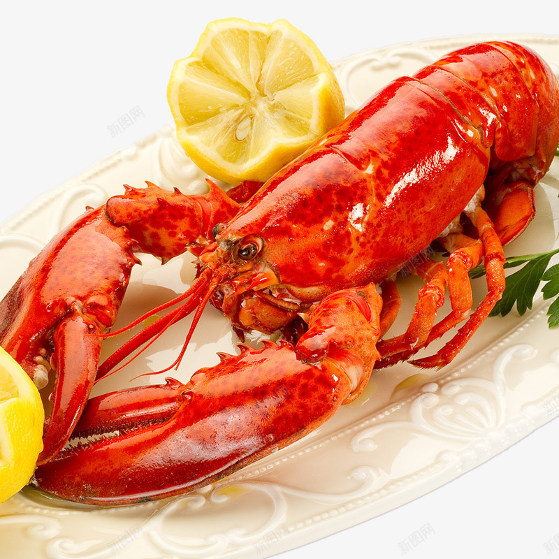进口好吃的波士顿龙虾png免抠素材_新图网 https://ixintu.com 实物 波士顿龙虾 美味 食物