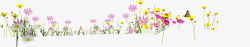 花花朵花装饰淘宝素材花花朵花堆淘宝花絮高清图片