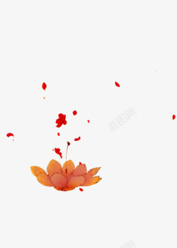 手绘荷花红花瓣素材