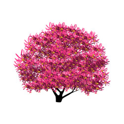 红色仿真树红花檵木绿化树矢量图高清图片