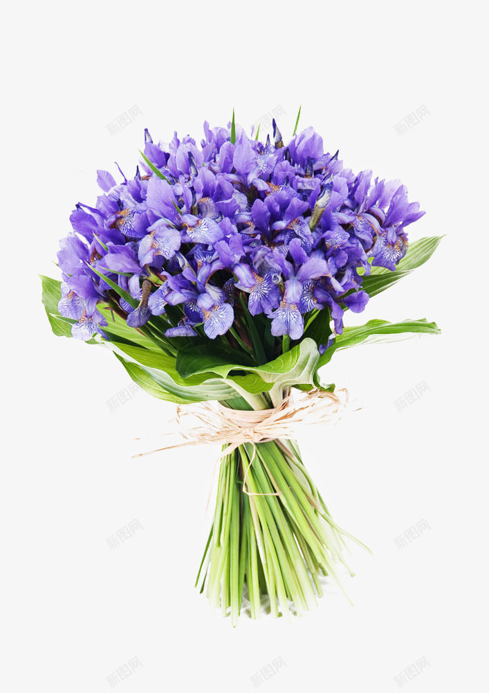 紫色花束png免抠素材_新图网 https://ixintu.com png图片 植物 祝福 紫色 节日 花束 鲜花