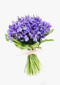 紫色鲜花球花束紫色花束高清图片