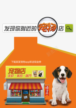 宠物洗护刷宠物店高清图片