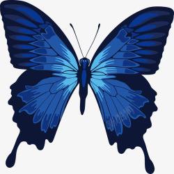 蓝色漂亮的蝴蝶手绘元素矢量图素材