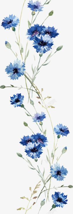 彩绘花素材水彩画兰花矢量图高清图片