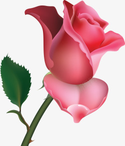 粉色玫瑰三联画素材