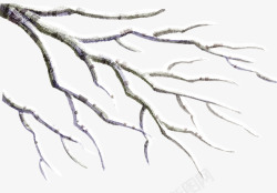 雪结冰免抠PNG冬天结冰的树木枝高清图片