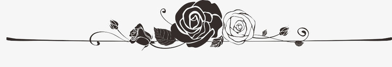 装饰边框玫瑰花png免抠素材_新图网 https://ixintu.com rose 横幅边框 玫瑰 玫瑰纹身 黑白灰花朵