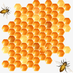 蜂蜜广告蜜蜂蜂巢高清图片