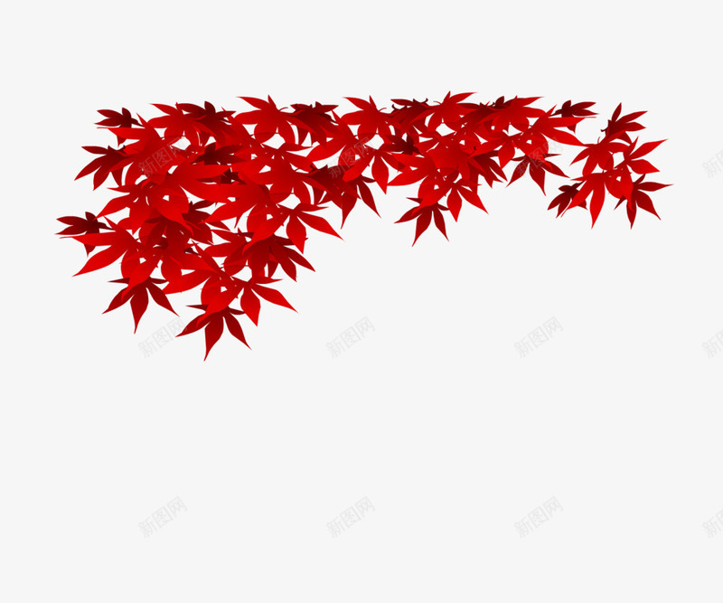 红色枫叶片png免抠素材_新图网 https://ixintu.com 图片 枫叶 素材 红色