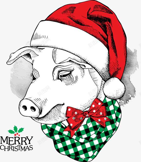 萌萌的圣诞猪png免抠素材_新图网 https://ixintu.com 圣诞节 猪 装饰 贺卡