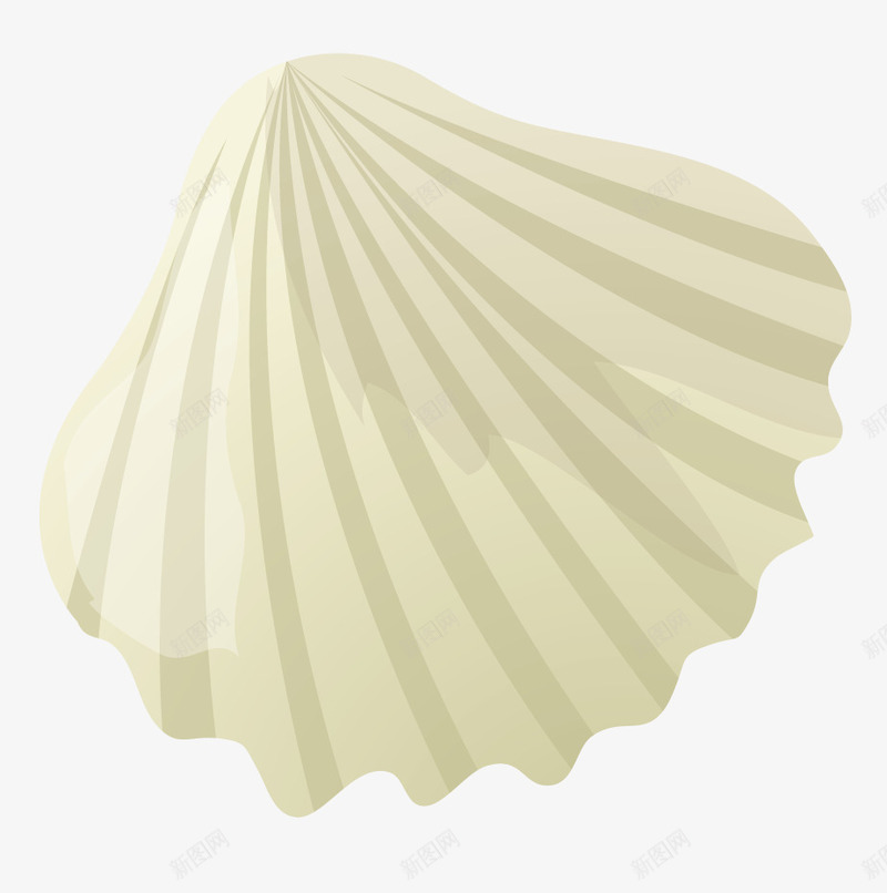 一个白色的贝壳png免抠素材_新图网 https://ixintu.com 动漫动画 卡通手绘 手绘贝壳 白色贝壳 装饰图 贝壳