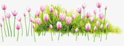 春季粉色野外花朵素材