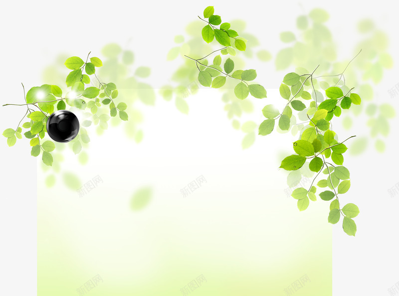 清新春季绿色植物树叶png免抠素材_新图网 https://ixintu.com 春季 树叶 清新 绿色植物