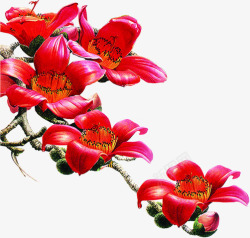 春季红色花朵树枝素材