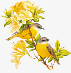 花枝小鸟花束抽象花朵卡通黄色花枝高清图片