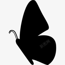 昆虫轮廓蝴蝶的侧面形状图标高清图片