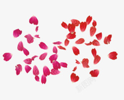 月季花瓣粉色红色月季花瓣装饰图案高清图片