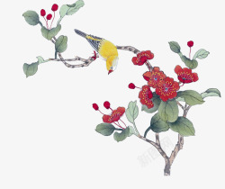 红色花朵上的黄鹂鸟素材
