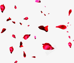 落地玫瑰花瓣飞舞的花瓣高清图片