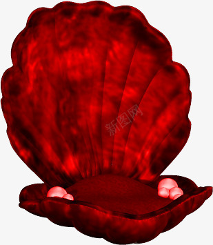 海滩上的贝壳png免抠素材_新图网 https://ixintu.com 珍珠 红壳 红色 贝壳