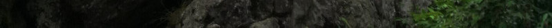 神农架旅游风景区png免抠素材_新图网 https://ixintu.com 旅游 湖北旅游 湖北避暑胜地 风景