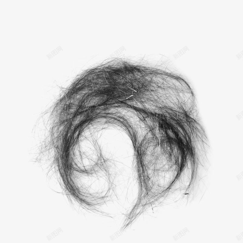 真实头发png免抠素材_新图网 https://ixintu.com 发丝 头发 头发笔刷 女士发型 真实头发