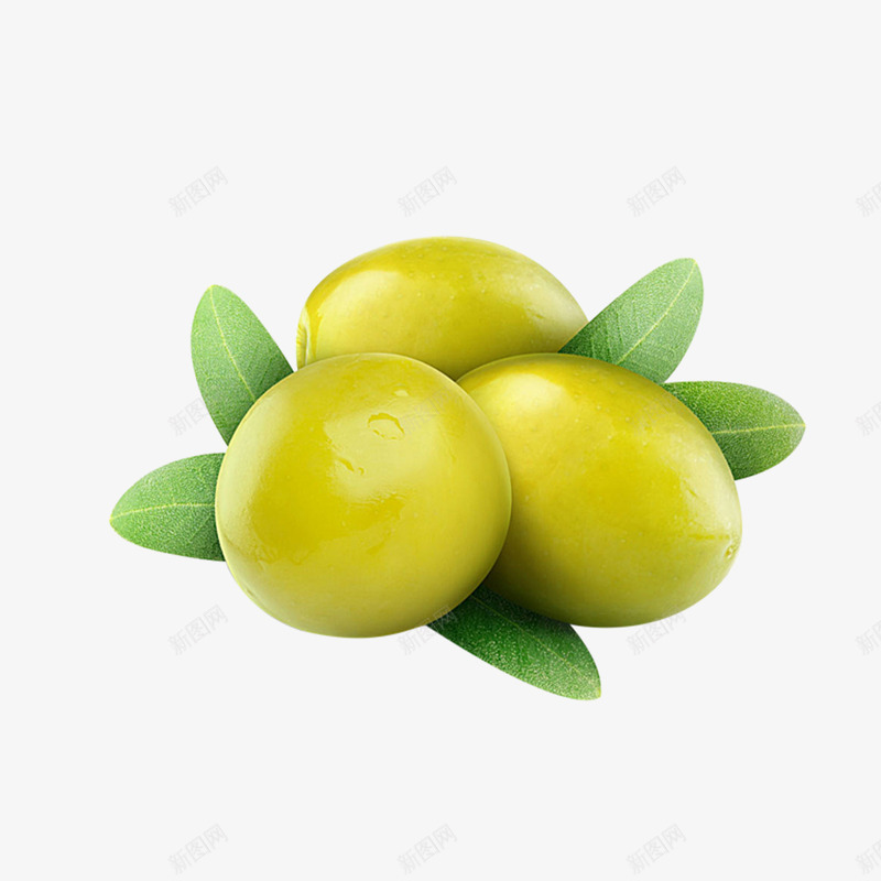 绿色橄榄果png免抠素材_新图网 https://ixintu.com 植物 橄榄油 水果 素材 食物