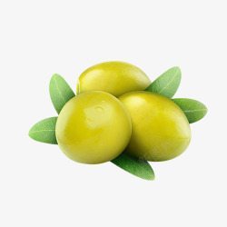 橄榄果剪影绿色橄榄果高清图片