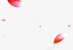 红色花瓣漂浮元素素材