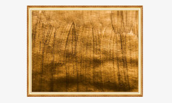 金属招牌金色金属光泽装饰底图高清图片