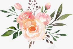 水墨蓝玫瑰花朵装饰案高清图片