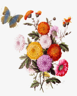 月季花矢量花纹唯美欧式复古花卉图案高清图片