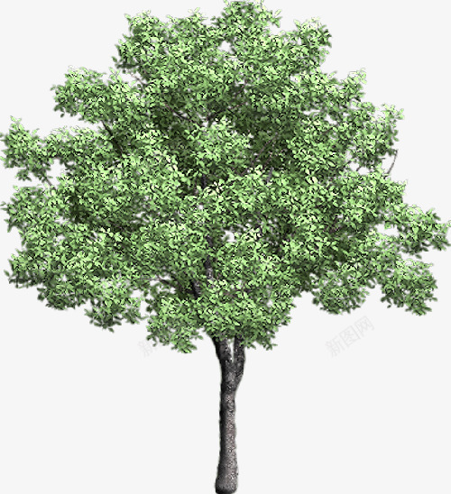 绿树立面树卡通绿色png免抠素材_新图网 https://ixintu.com 卡通 立面 绿树 绿色