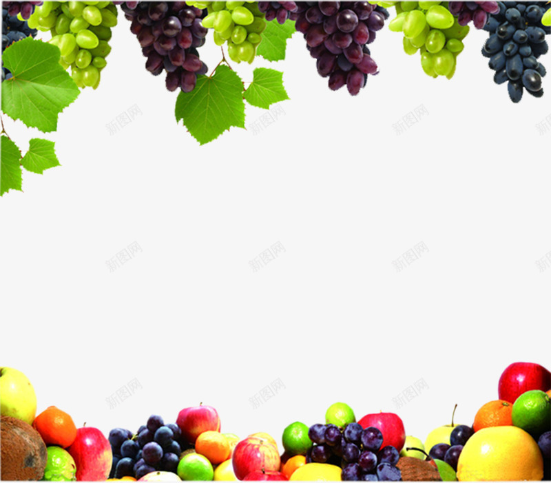 水果边框png免抠素材_新图网 https://ixintu.com 各色水果 水果经营宣传插图 水果边框 边框