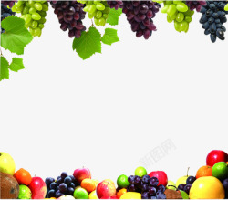 各色水果水果边框高清图片