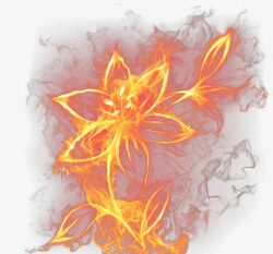 琪琪火焰植物花朵高清图片