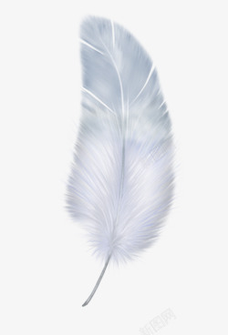 白色优雅帘子白色的羽毛高清图片