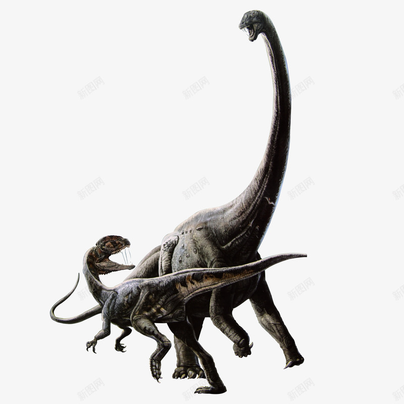 恐龙png免抠素材_新图网 https://ixintu.com 侏罗纪 恐龙 生物 远古