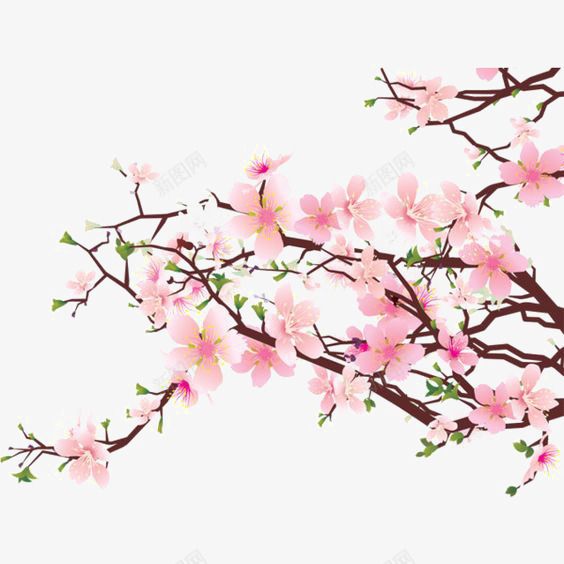 粉色花朵png免抠素材_新图网 https://ixintu.com 中国画 中国风 寒梅 梅花 水墨花朵 水彩花朵