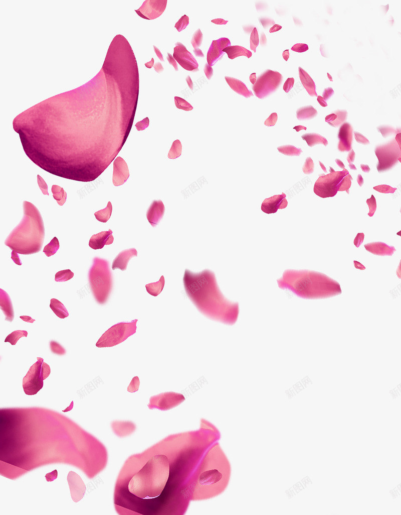 粉色模糊植物花瓣漂浮png免抠素材_新图网 https://ixintu.com 植物 模糊 漂浮 粉色 花瓣